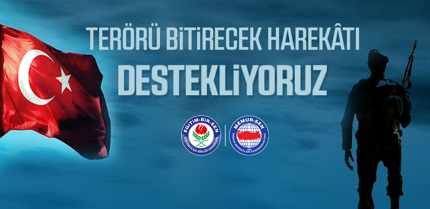 Terörü bitirecek harekâtı destekliyoruz